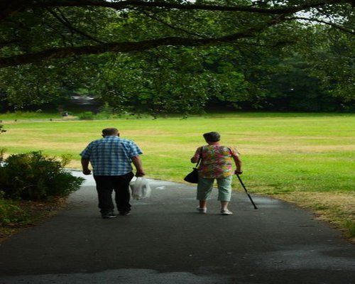 A calm elderly couple taking a gentle walk through a green urban park path during a clear peaceful afternoon